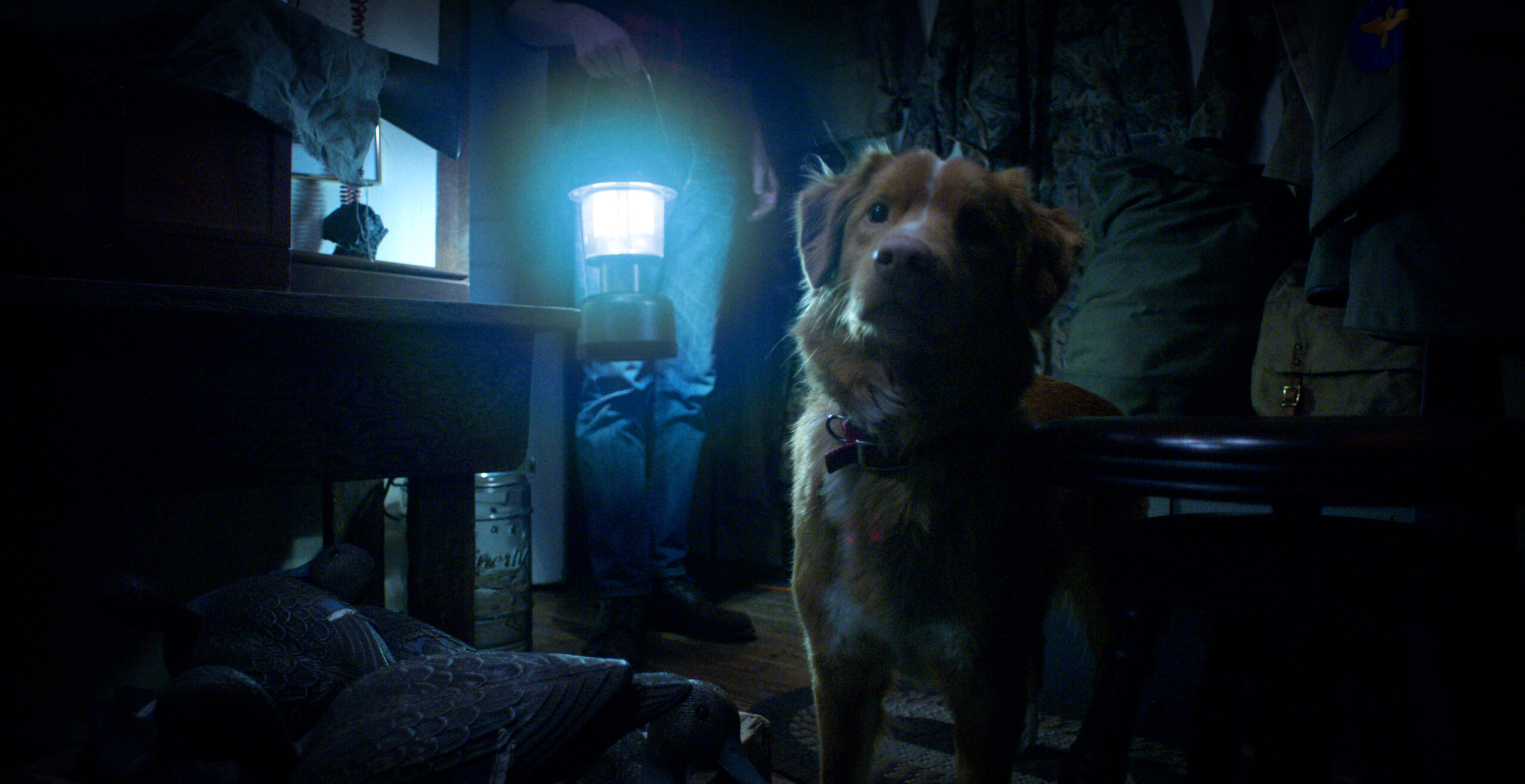 Still from GOOD BOY | Courtesy of CUFF