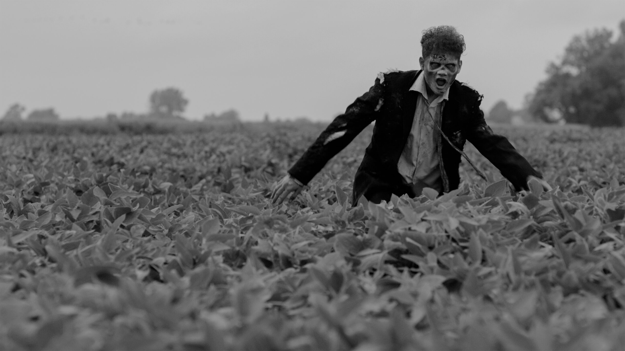 Still from Vampire Zombies...From Space! | Courtesy of CUFF