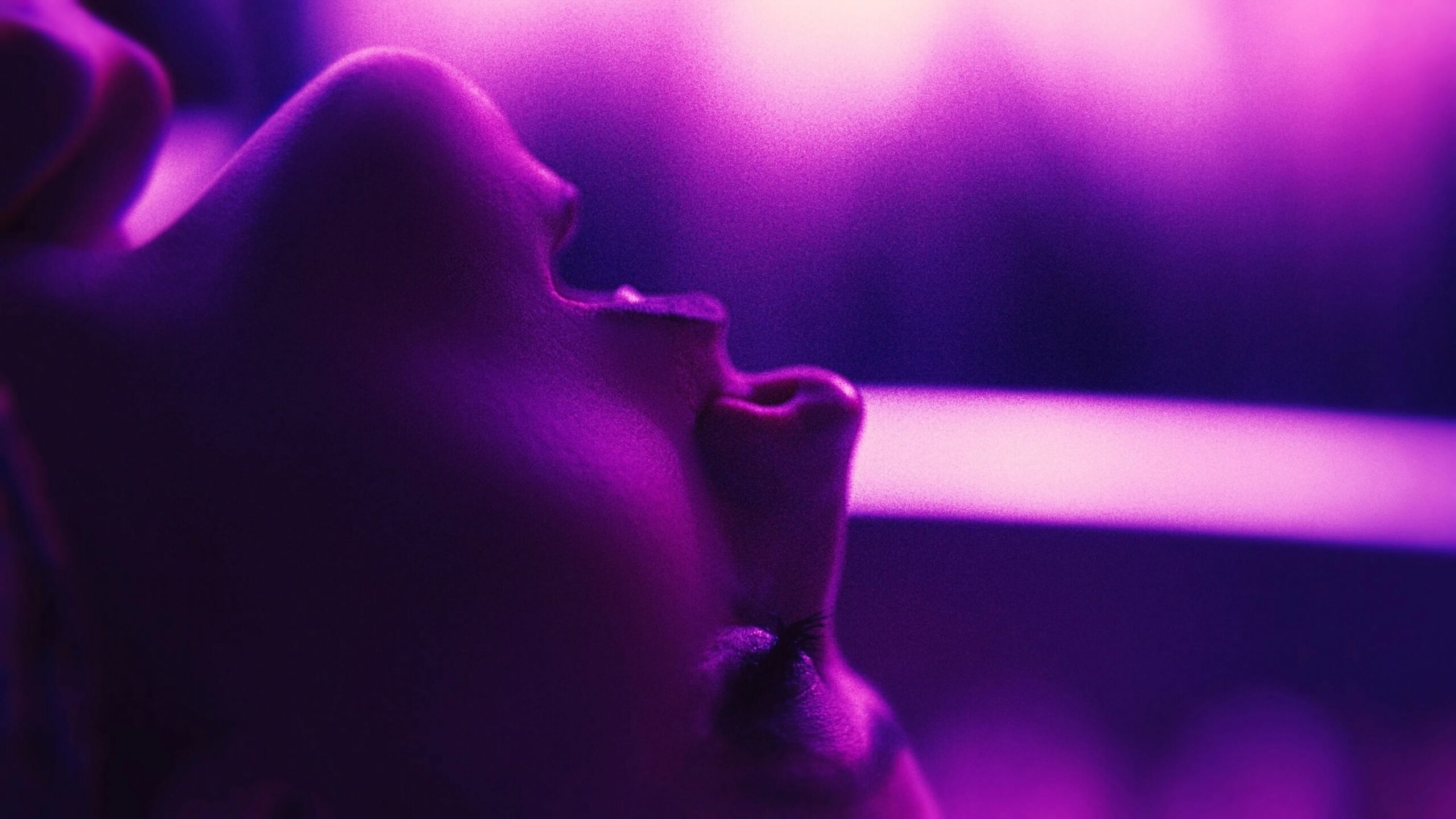 TOUCH ME Still | Courtesy of Fantasia Film Festival