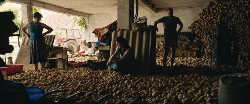 The Tale of Silyan Still - Jana, Ana, and Ana's husband standing on the hundreds of potatoes they weren't able to sell at the market. (Credit: Ciconia Film/Jean Dakar)