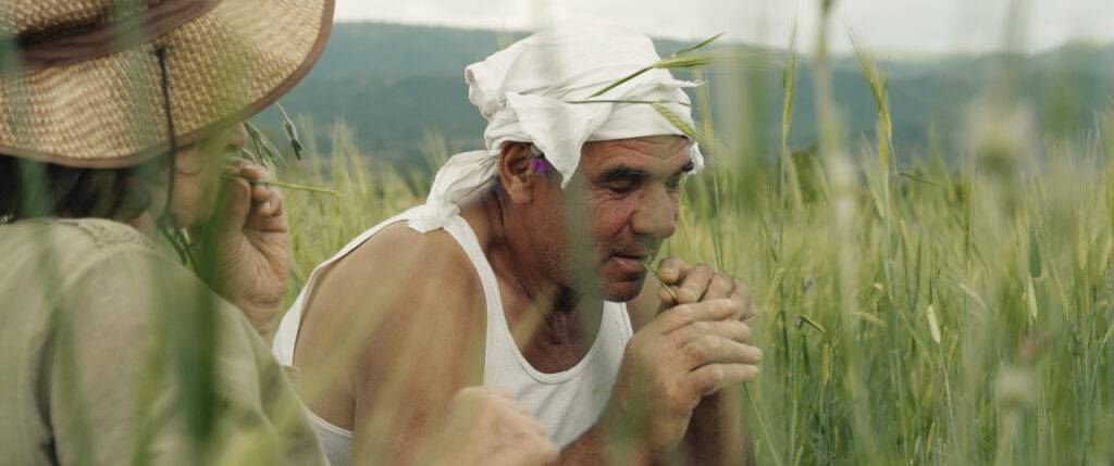 The Tale of Silyan Still - Nikola and Jana sitting in a wheat field discussing their life and love. (Credit: Ciconia Film/Jean Dakar)