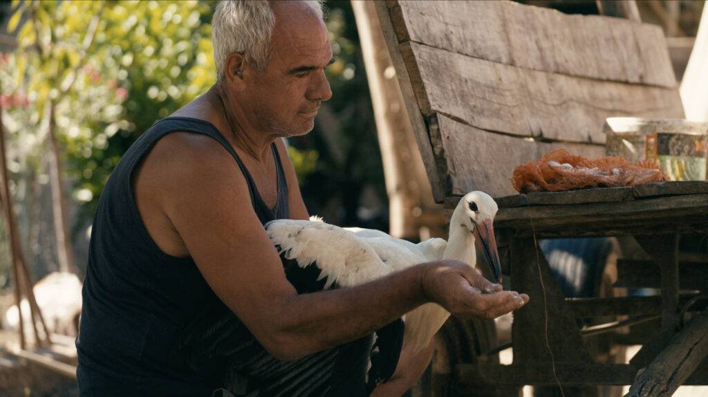 The Tale of Silyan Still - Nikola feeds Silyan fish in his palm as he tries to nurse him back to health. (Credit: Ciconia Film/Jean Dakar) 